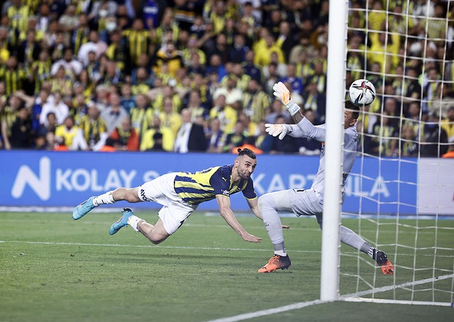 备受赞誉 备受赞誉