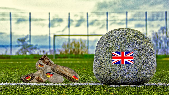 我们期待 我们期待