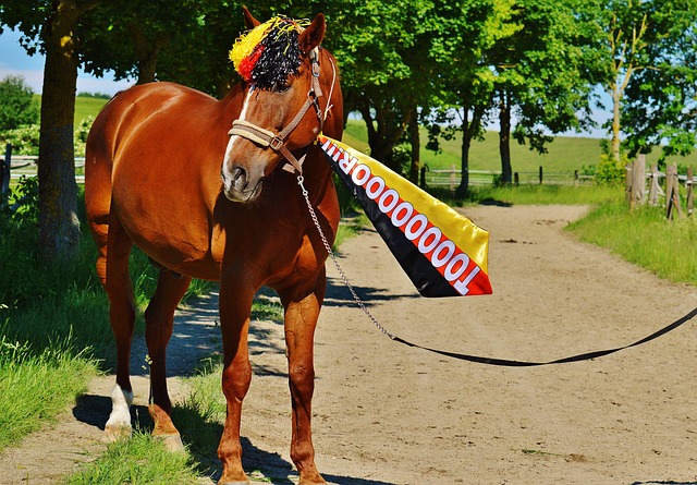 全国短道速 全国短道速