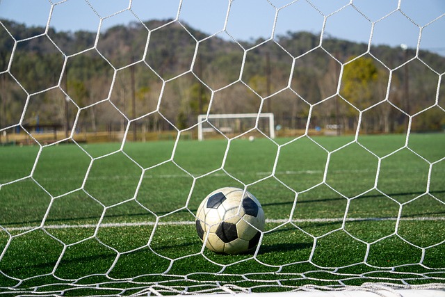 原因之一 原因之一