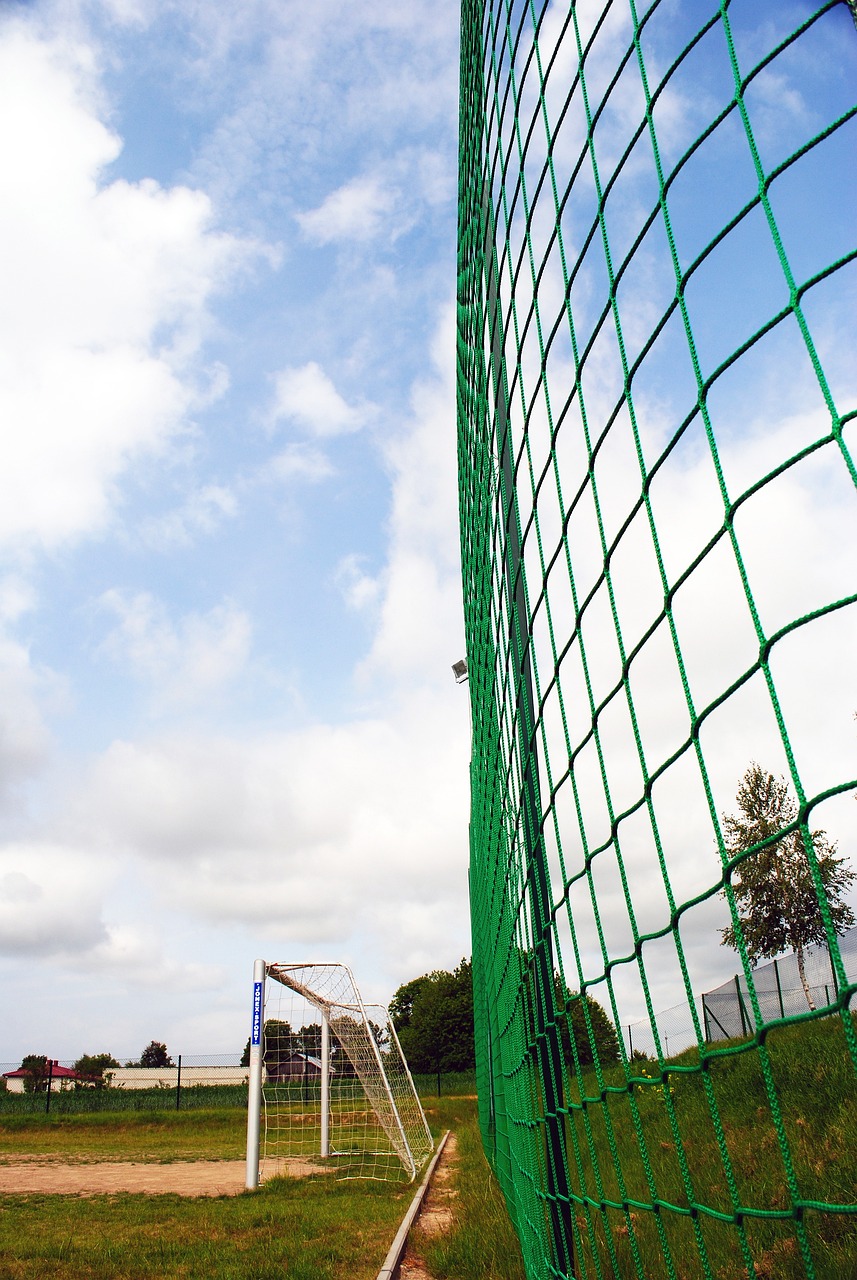 阵容的一种 阵容的一种