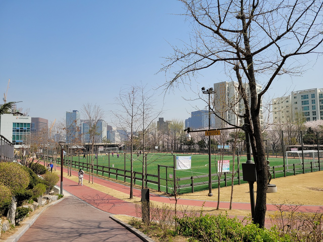 8岁的少年 8岁的少年